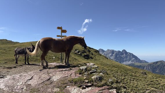 Foto fra Bas de Bruin undervejs på turen