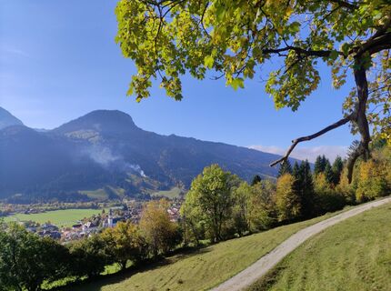 Photo de Gerhard Niebling le long du parcours
