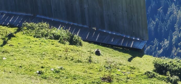 Foto von I Breitler60 entlang der Tour