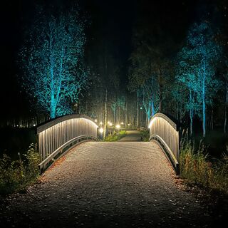 Eine Brücke, die zum Lichtwald führt