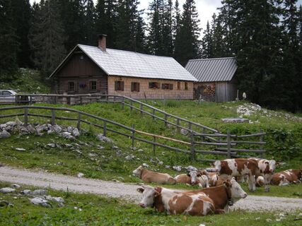 Hochkar - Ringkogel - Schwarzalm - Hochreit