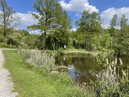 Biberteich an der Sauerland-Waldroute