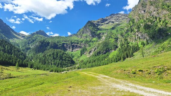 Photo de Monalisa le long du parcours