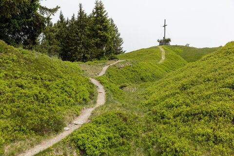 Der Weg zum Hochgründeck