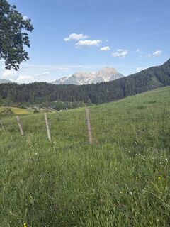 Foto von Tomáš Fenyk entlang der Tour