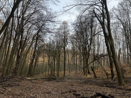 Foto de Reti Alicia a lo largo del recorrido