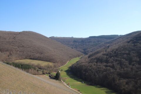 Zdjęcie z Günter Kleutsch wzdłuż trasy