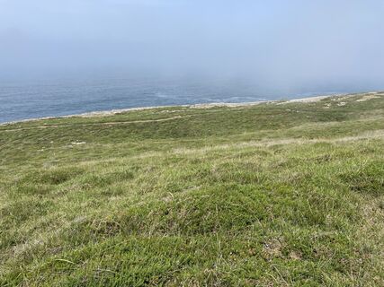 Photo de Florian Brandt le long du parcours