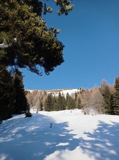 Photo de Aner le long du parcours