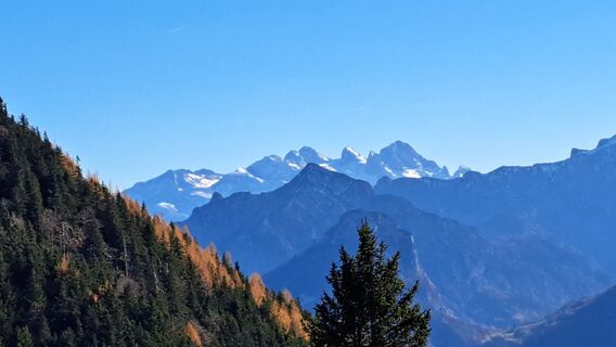 Fotografija s spletne strani Gerhard Faugel na poti