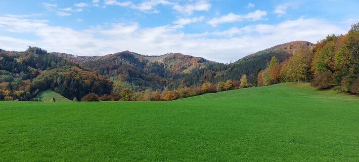 Photo de Waldfred le long du parcours