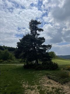 Fotografie z Olaf Mönig na trase