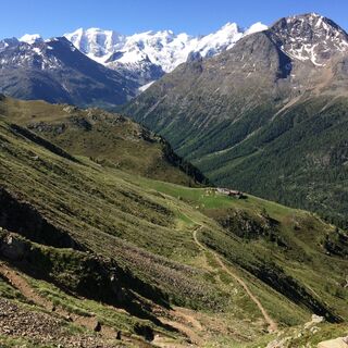 Ausblick auf den Piz Palü