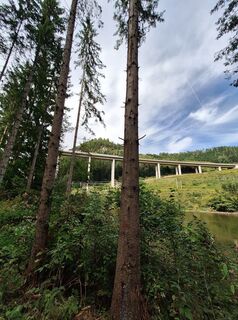 Photo de Isabella Peinsold-Klammer le long du parcours