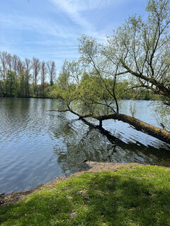 Borner See