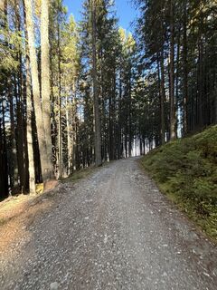 Foto von Lea Mandler entlang der Tour