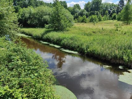 Gerdau bei Holdenstedt