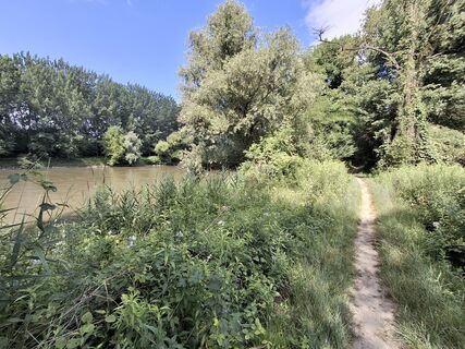 Fotografia z Grabner na trase