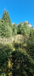 Foto von Mario Libardi entlang der Tour