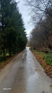 Fotografia z Eljazovic Miralem na trase