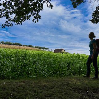 Mitten im Grünen, Wanderung von Pischelsdorf auf den Kulm in der Oststeiermark
