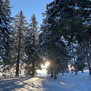 Koralpe-Brandl Winter