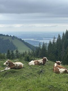 Foto von Katrin Rupprecht entlang der Tour