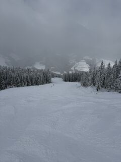 Photo de Martin Steiner 19 le long du parcours