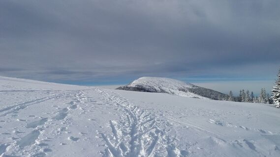 Kurze Schneeschuhrunde auf der Stubalm_Blick auf den Rappold