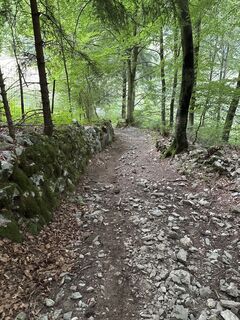 Foto von Heinz Sperl entlang der Tour