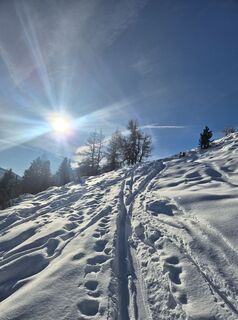 Fotografija s spletne strani Arnulf Müller na poti