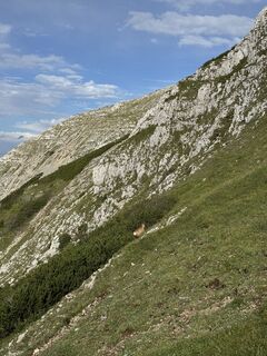 Photo de Tamás Nagy 35 le long du parcours