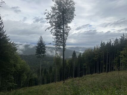 Foto von Manuel Leitner entlang der Tour
