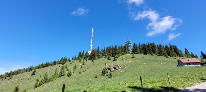 Foto von Nicky entlang der Tour
