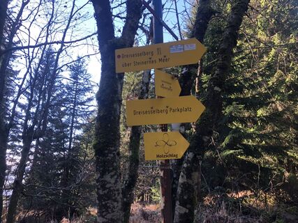 Photo de Harald Pröll le long du parcours