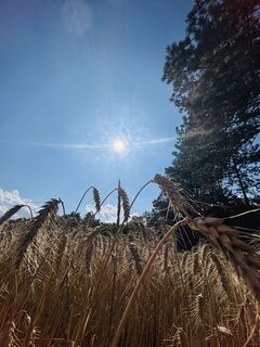 Fotografia z RS76 na trase