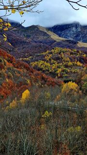 Foto de Fabrizi Mellano a lo largo del recorrido