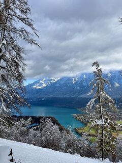 Fotografija s spletne strani Aurelian Böhler na poti