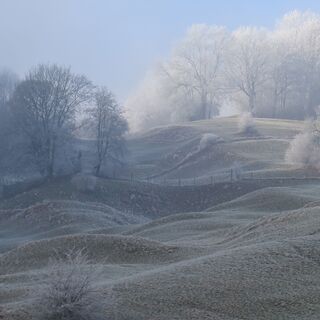 Winterlandschaft Staffelegg