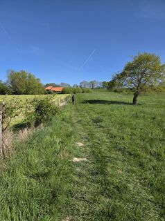 Fotografia z Ingrid van der Deen na trase