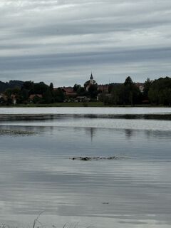 Photo de Denise Miller le long du parcours