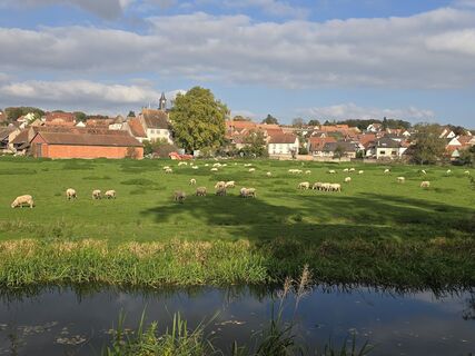Photo de Michel Kennel le long du parcours