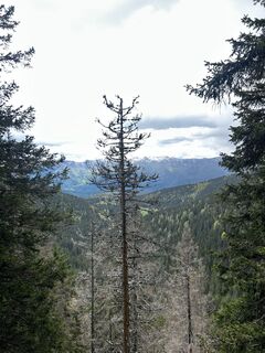 Fotografia z Shilan Wondraschek na trase