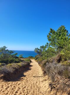 Photo de silkerschi le long du parcours