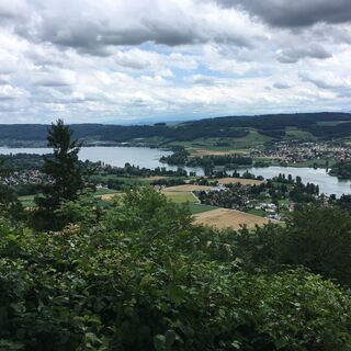 Untersee mit Insel Werd