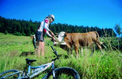 Mountainbike Paradies