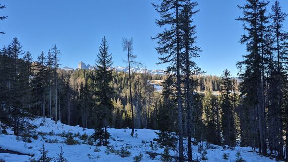Photo de alessiorobnik le long du parcours