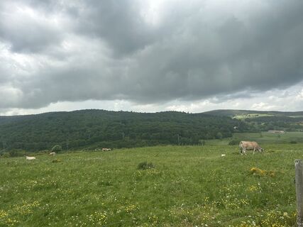 Zdjęcie z Andi Felix wzdłuż trasy