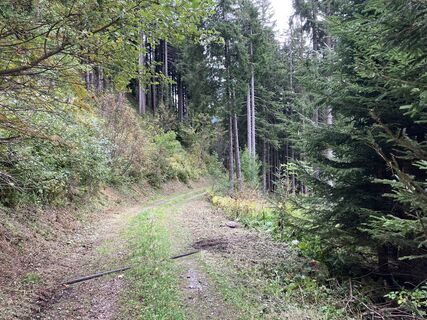 Fotografia z Elmar Ebner 2 na trase