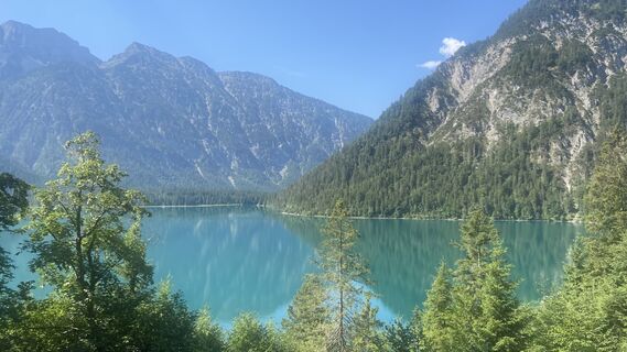 Fotografija s spletne strani Annabella Herzog na poti